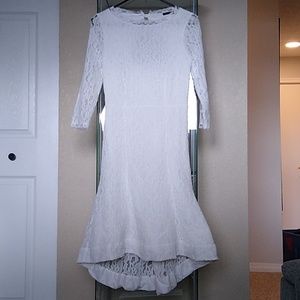 White Lace Stretchy Dress